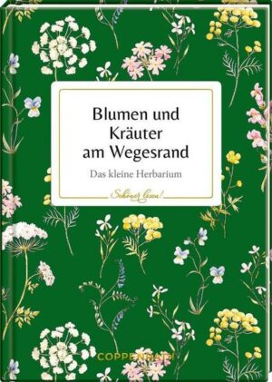 Blumen und Kräuter am Wegesrand