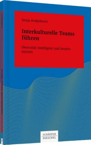 Interkulturelle Teams führen