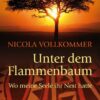 Unter dem Flammenbaum
