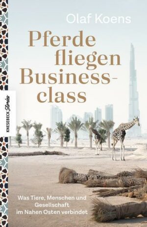 Pferde fliegen Businessclass