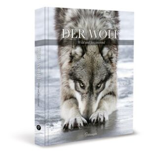 Der Wolf