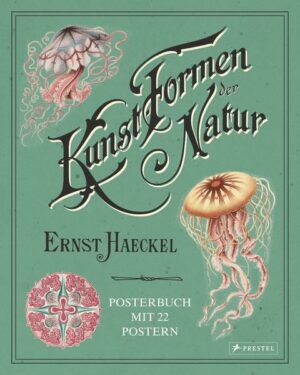 Ernst Haeckel: Kunstformen der Natur. Posterbuch mit 22 Postern
