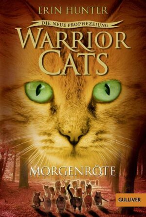 Morgenröte / Warrior Cats 2 Bd.3