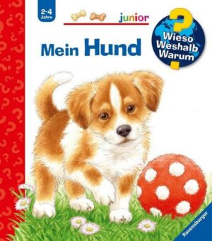 Mein Hund / Wieso? Weshalb? Warum? Junior Bd. 41