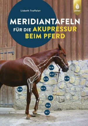 Meridiantafeln für die Akupressur beim Pferd