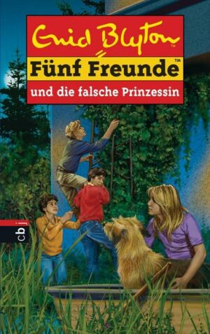 Fünf Freunde und die falsche Prinzessin / Fünf Freunde Bd.58