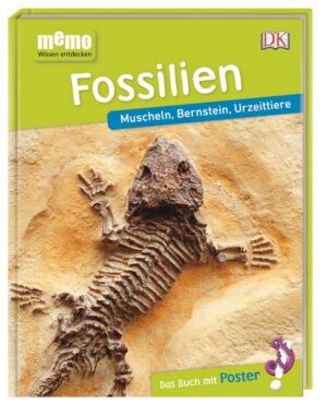 Memo Wissen entdecken. Fossilien