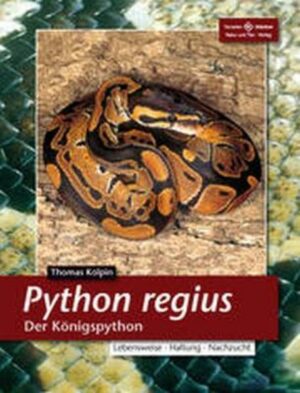 Python regius