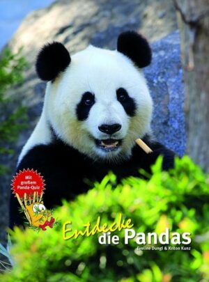 Entdecke die Pandas