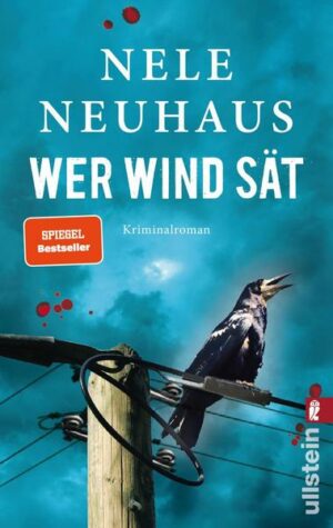 Wer Wind sät / Oliver von Bodenstein Bd.5