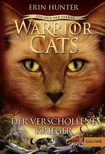 Warrior Cats - Zeichen der Sterne. Der verschollene Krieger