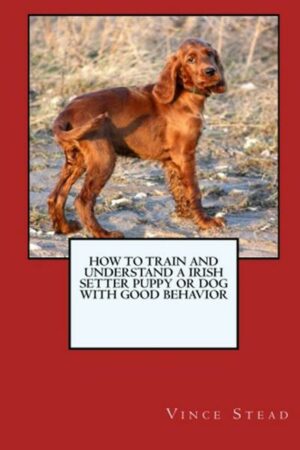 How to Train and Raise a Irish Setter Puppy or Dog with Good Behavior