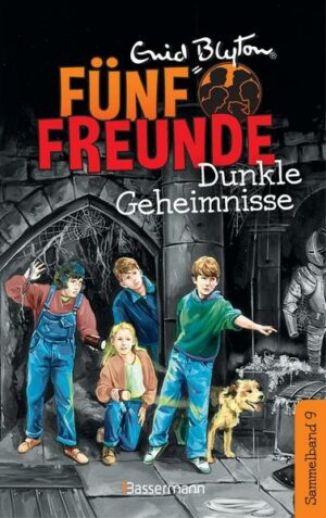 Fünf Freunde - Dunkle Geheimnisse - DB 09