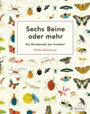 Sechs Beine oder mehr – Die Wunderwelt der Insekten und Spinnen