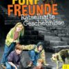 Fünf Freunde - Rätselhafte Geschehnisse - DB 11
