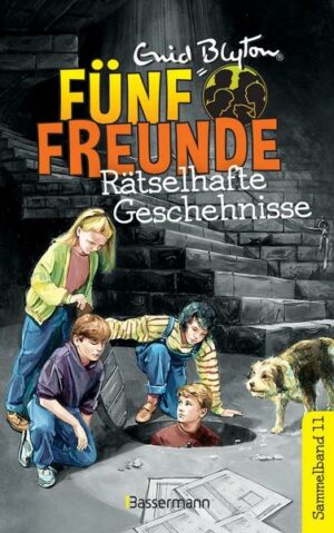 Fünf Freunde - Rätselhafte Geschehnisse - DB 11