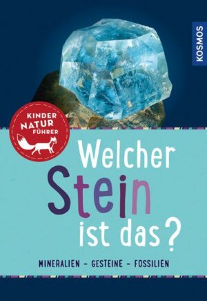 Welcher Stein ist das? Kindernaturführer