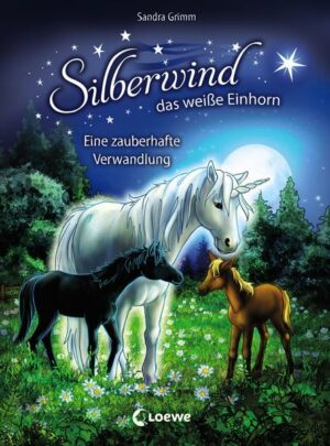 Silberwind