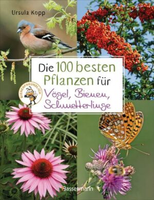 Die 100 besten Pflanzen für Vögel