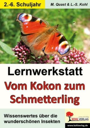 Lernwerkstatt Vom Kokon zum Schmetterling