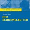 Der Schimmelreiter von Theodor Storm.