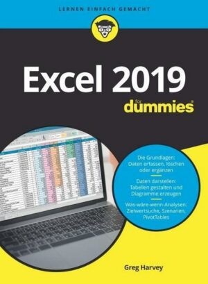 Excel 2019 für Dummies