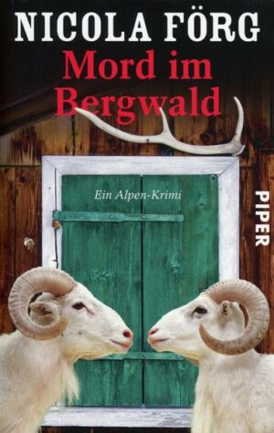 Mord im Bergwald / Kommissarin Irmi Mangold Bd.2