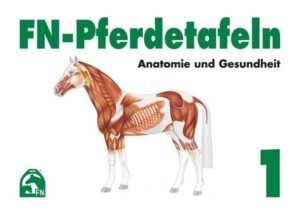 FN-Pferdetafeln. Mappe 1. Anatomie und Gesundheit