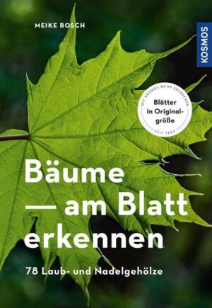 Bäume am Blatt erkennen