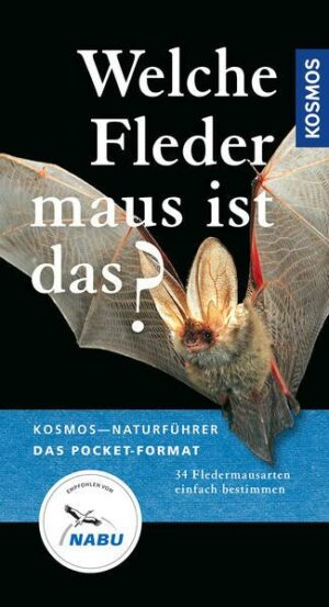 Welche Fledermaus ist das?