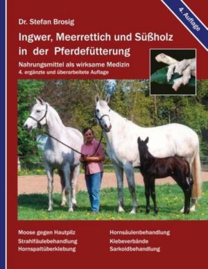 Ingwer