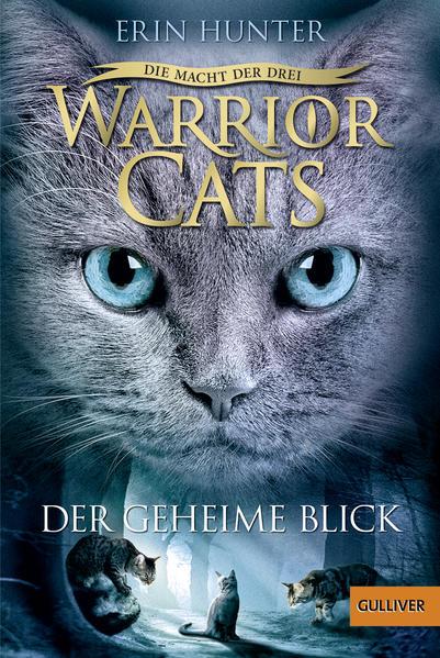 Der geheime Blick / Warrior Cats Staffel 3 Bd.1