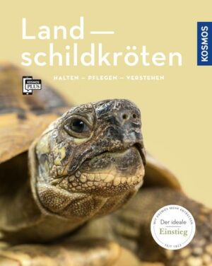 Landschildkröten