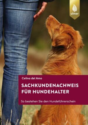 Sachkundenachweis für Hundehalter