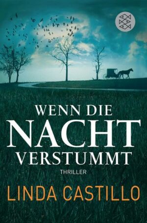 Wenn die Nacht verstummt / Kate Burkholder Bd.3