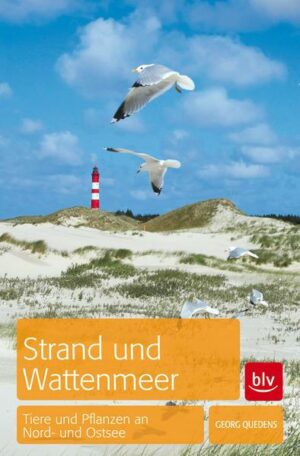 Strand und Wattenmeer