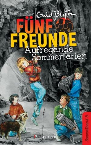 Fünf Freunde - Aufregende Sommerferien - DB 08