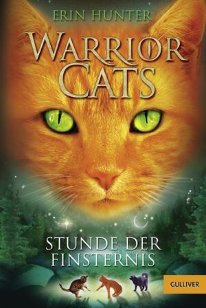 Warrior Cats. Stunde der Finsternis 1/6