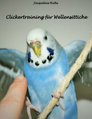 Clickertraining für Wellensittiche