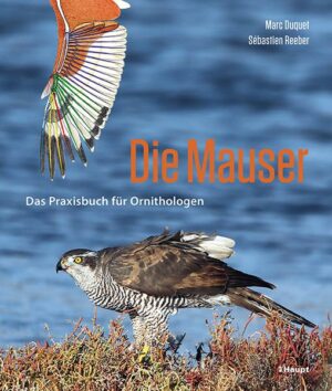 Die Mauser