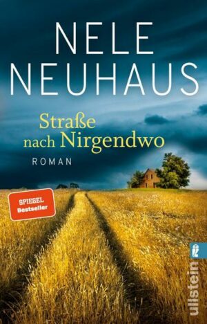 Straße nach Nirgendwo (Sheridan-Grant-Serie 2)