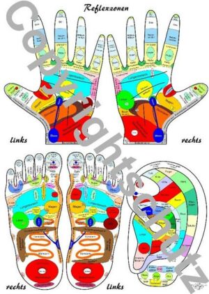 Reflexzonenübersicht - Füße