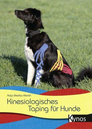 Kinesiologisches Taping für Hunde