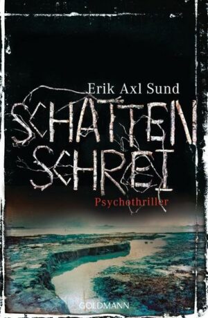 Schattenschrei / Victoria Bergman Trilogie Bd.3