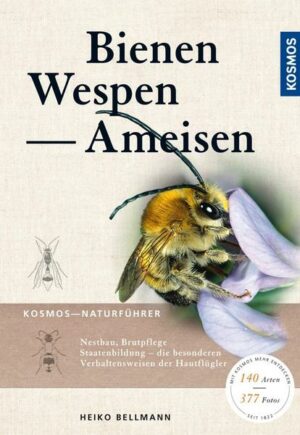 Bienen