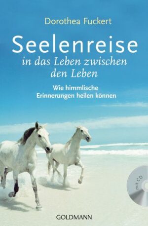 Seelenreise in das Leben zwischen den Leben