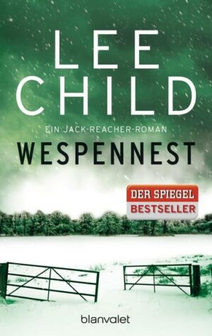 Wespennest / Jack Reacher Bd. 15