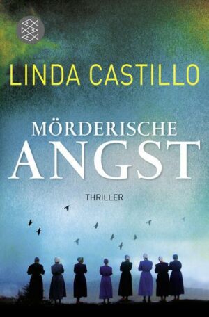 Mörderische Angst / Kate Burkholder Bd.6