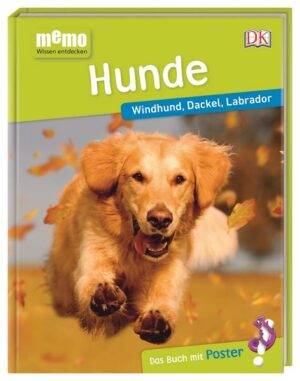 Memo Wissen entdecken. Hunde