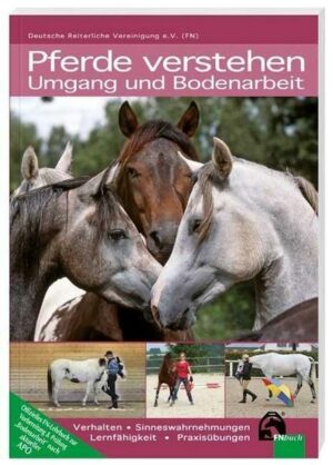 Pferde verstehen - Umgang und Bodenarbeit